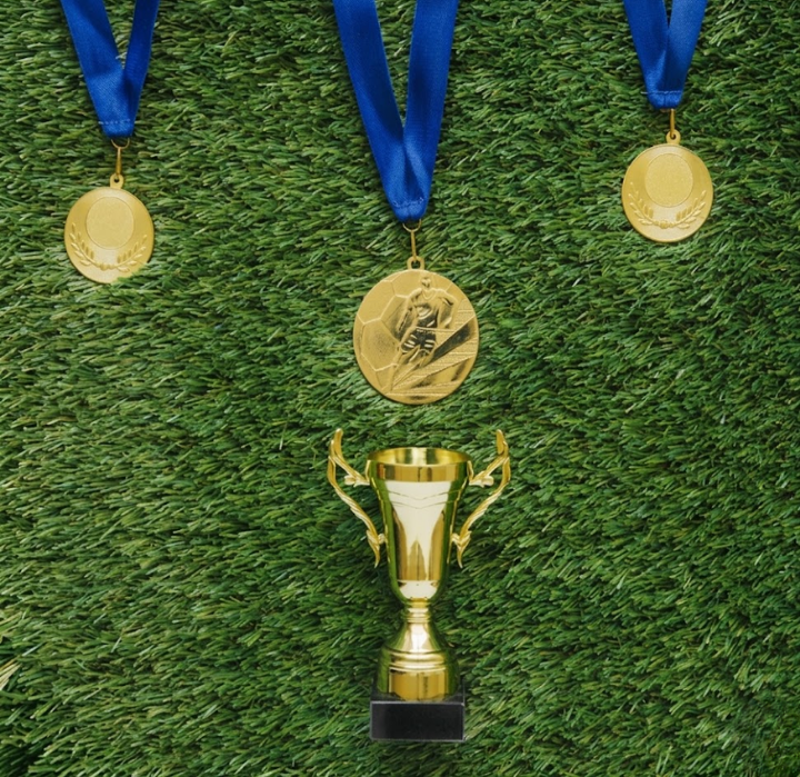 Sports software platform with league scheduling software and more