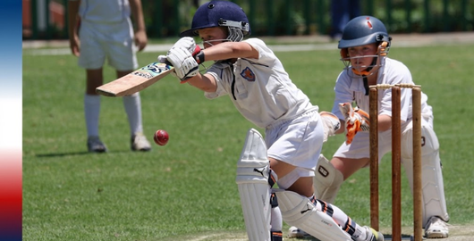 Cricket