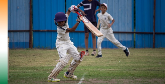 Cricket