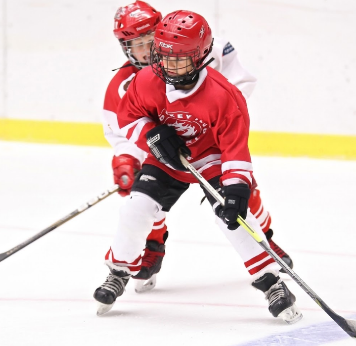 Best hockey software with registration, scheduling, and website builder for hockey organizations
